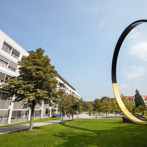 Park II (c) Universittsklinikum Freiburg/Britt Schilling