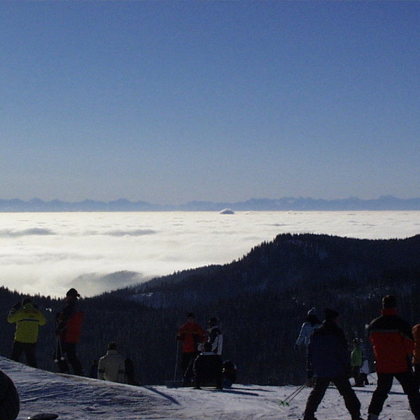 Skifahren auf dem Feldberg mit Nebeldecke